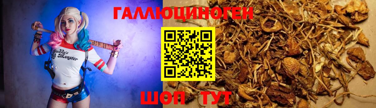Псилоцибиновые грибы ЛСД Чебаркуль