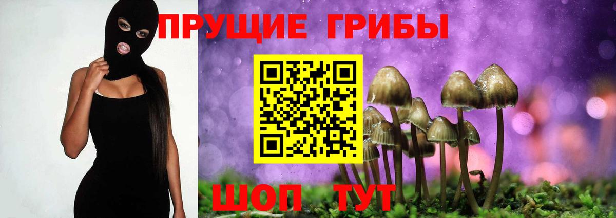 цены   Вход с VPN  Чебаркуль  Псилоцибиновые грибы мицелий 